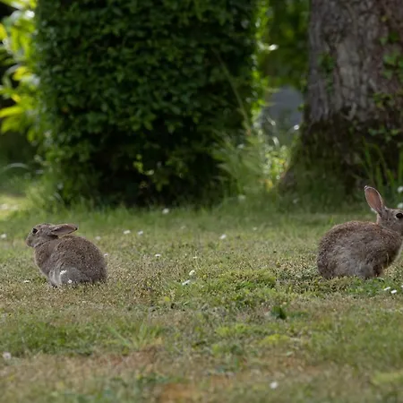 Les Falaises De キャンプ場 *